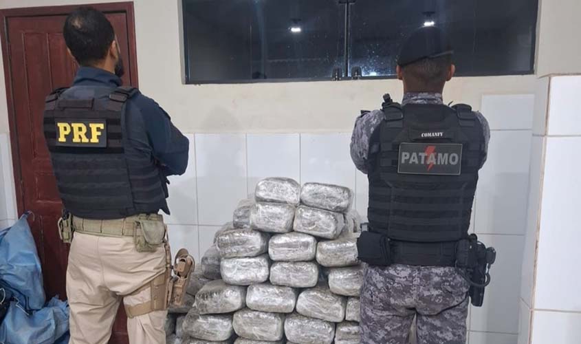Ação da PRF e PM apreende 180 kg de skunk em Cacoal