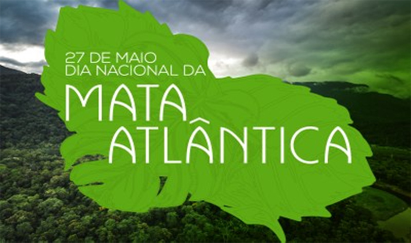 MPF alerta para risco de destruição da Mata Atlântica sob novo entendimento do MMA