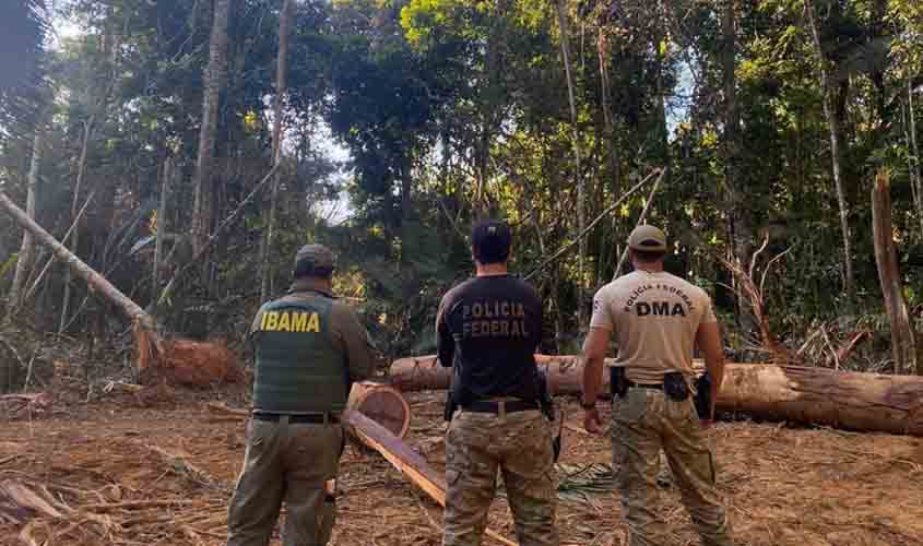 PF e Ibama combatem delitos ambientais na Terra Indígena 7 de setembro