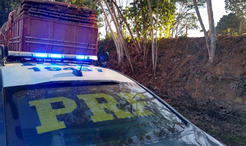 Porte de arma de fogo, porte de drogas e transporte ilegal de madeira são flagrados pela PRF