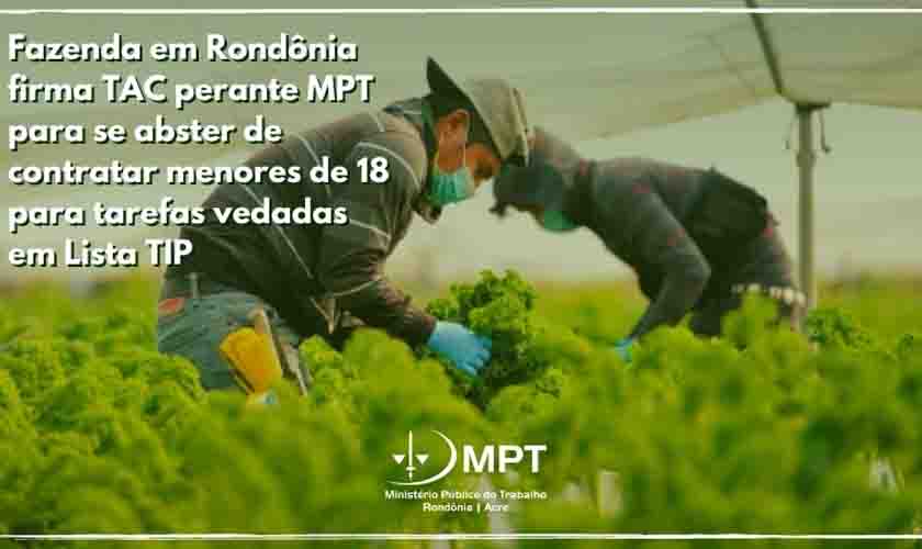 Fazenda em Rondônia firma TAC perante MPT para se abster de contratar menores de 18 para tarefas vedadas em Lista TIP