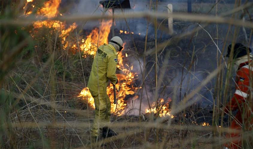 Crimes contra a natureza: Saiba como a Polícia Técnico-Cientifica desvenda crimes em Rondônia