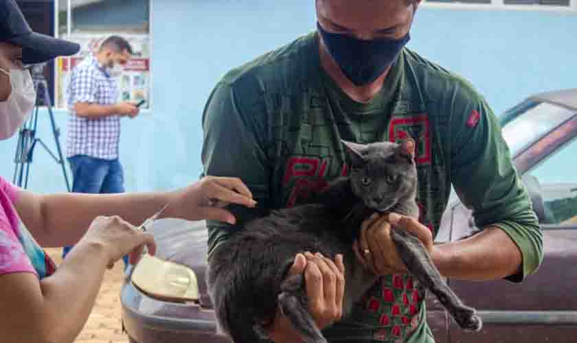 “Dia D” de vacinação antirrábica garantiu a imunização de cães e gatos em Porto Velho