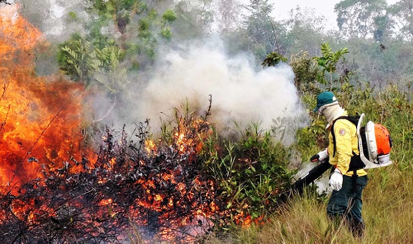 Incêndios florestais afetam qualidade do ar no Norte do país; saiba como proteger as crianças
