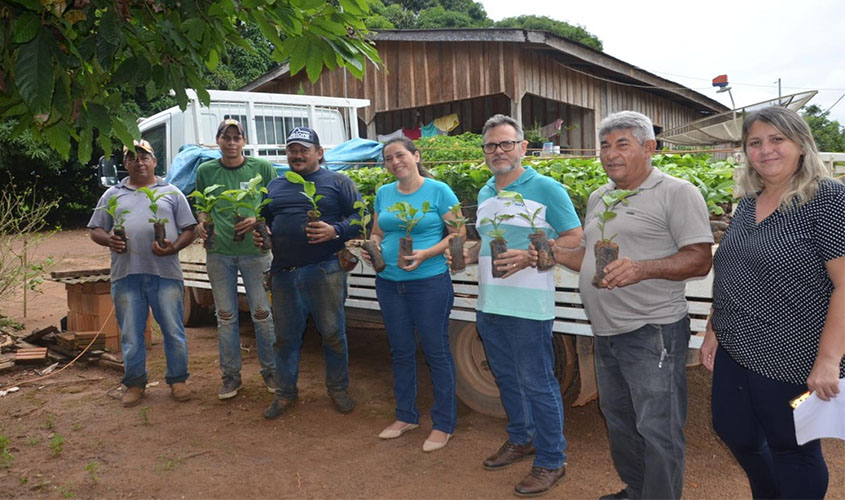 Mais de doze mil mudas de café clonal são entregues para agricultores