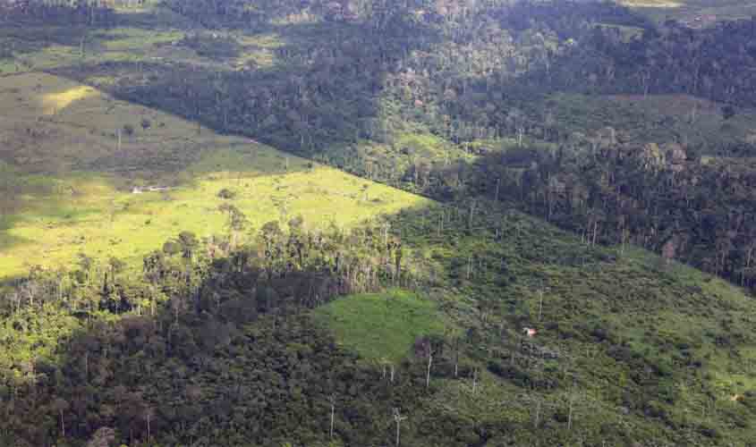 União deve esclarecer ao STF pontos de plano de proteção da Amazônia