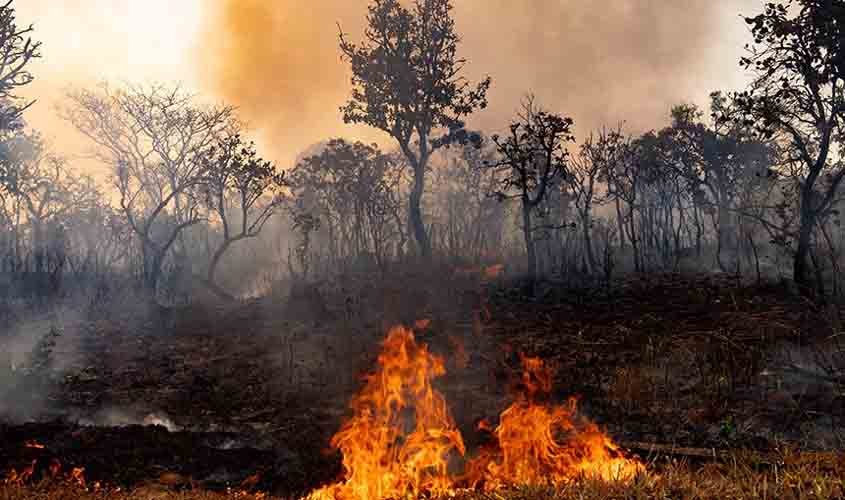Novos prefeitos e vereadores assumem papel decisivo no enfrentamento da crise climática