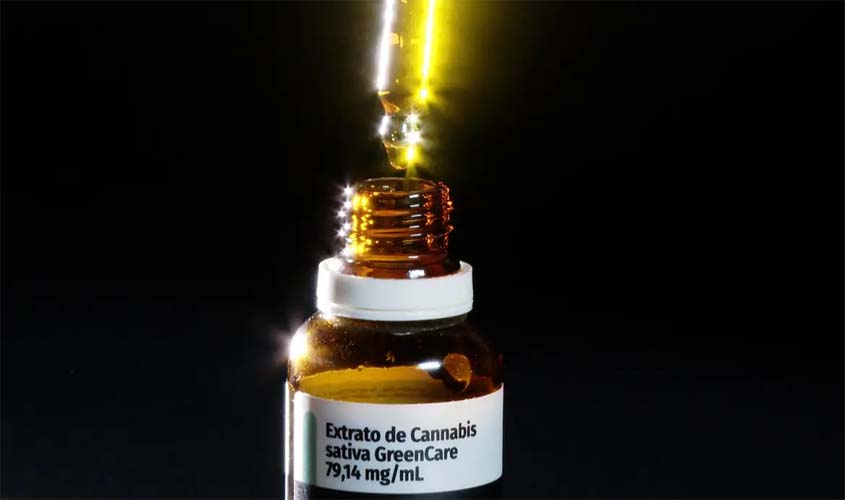 Anvisa aprova cultivo de cannabis por empresas e amplia acesso