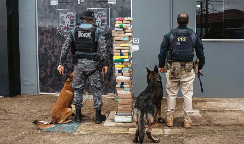 Operação conjunta das forças de segurança contra o crime organizado resulta em apreensão de drogas