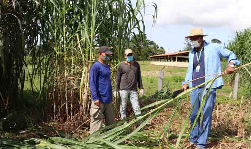 Assistência técnica a agricultores de Rondônia foi essencial para o fortalecimento do setor produtivo durante um ano de pandemia