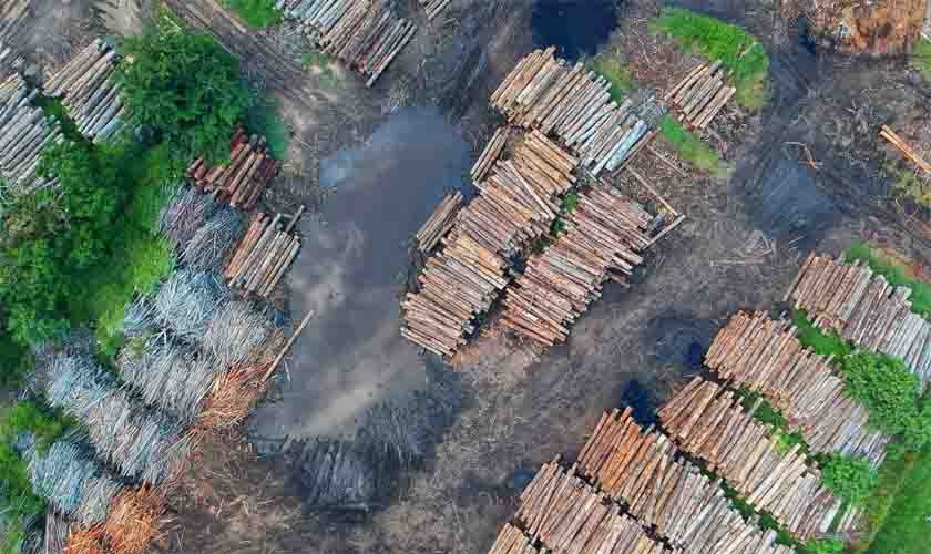 Nova operação é lançada para combater desmatamento na Amazônia