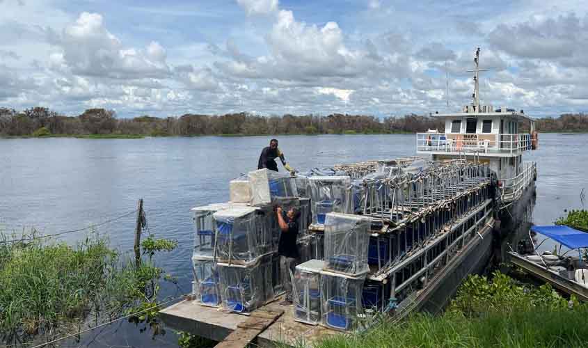 Educação indígena em Rondônia recebe materiais permanentes e pedagógicos