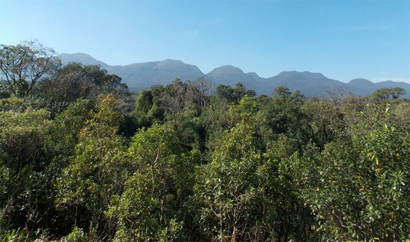 Desmatamento na Mata Atlântica cresce 27,2%, diz relatório