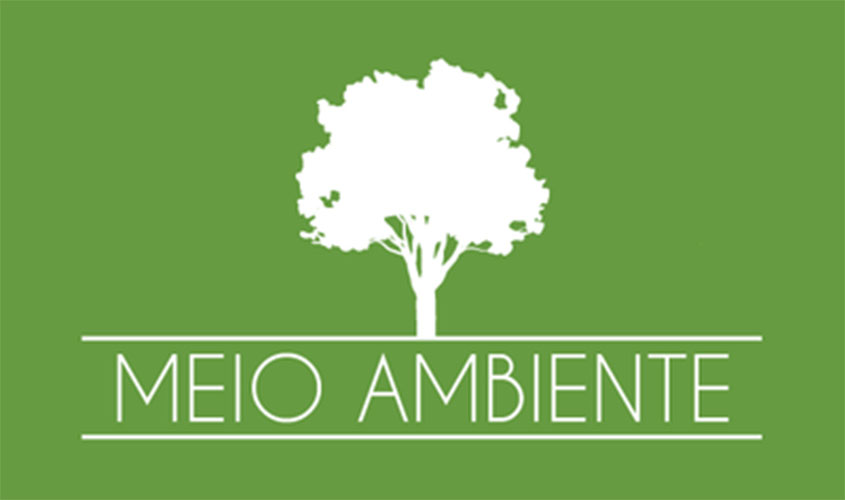 Câmara de Meio Ambiente do MPF defende apuração de possível crime de responsabilidade e improbidade administrativa de Ricardo Salles