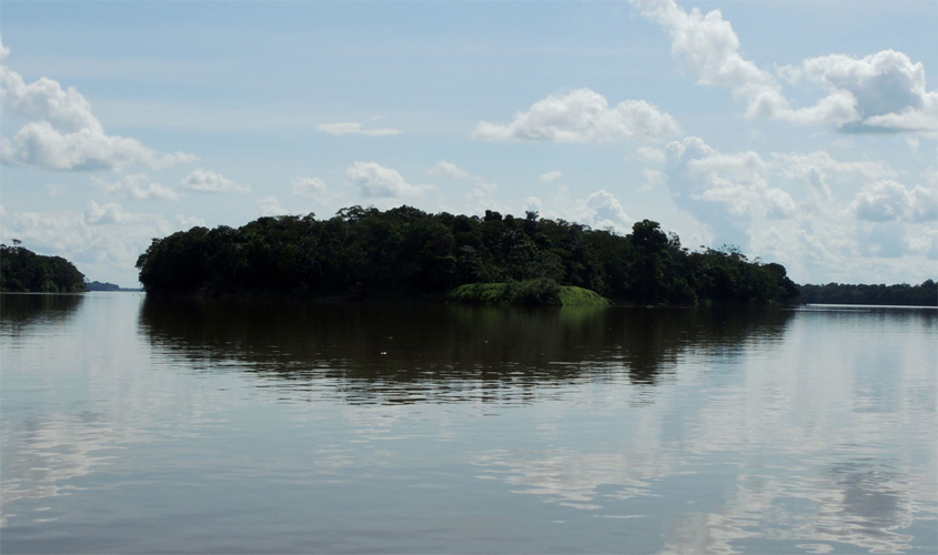 Oferta de presas determina uso de ilhas fluviais por onças-pintadas na Amazônia Central