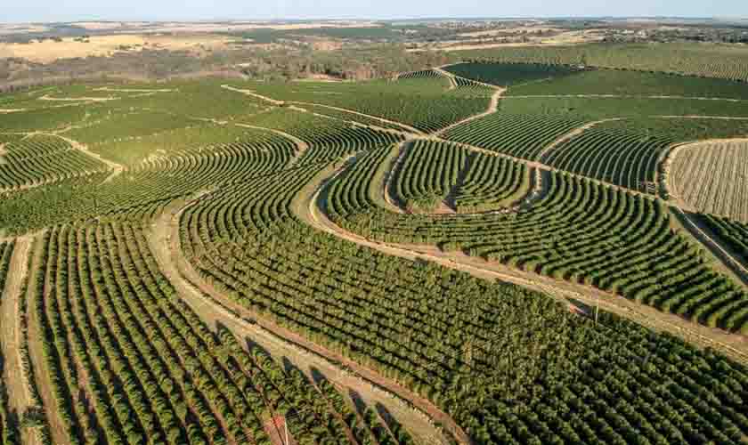 Rondônia: AGU impede na Justiça o pagamento indevido de indenização de R$ 1,3 bilhão pelo Incra