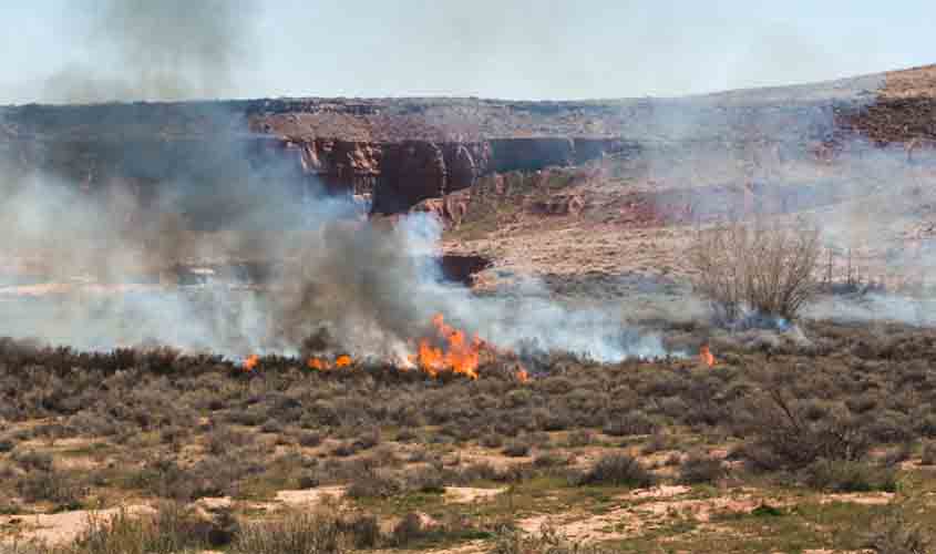 Queimadas afetam fornecimento de energia para uma média de 12 mil clientes por ano