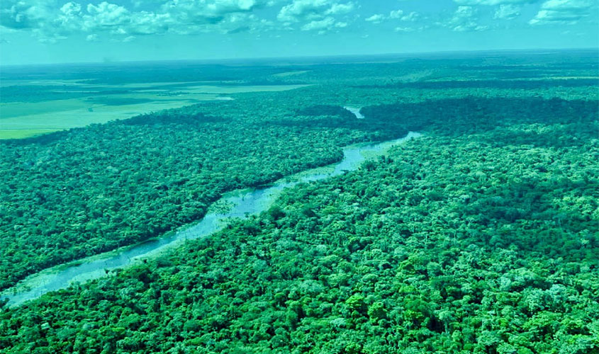 Ações de combate ao desmatamento são realizadas em Ariquemes