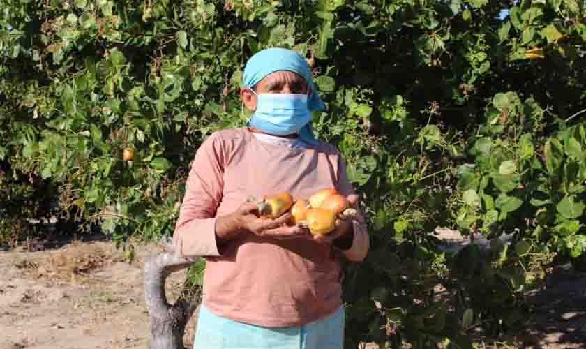Cervejas regionais da Ambev mais que dobram impacto na agricultura familiar