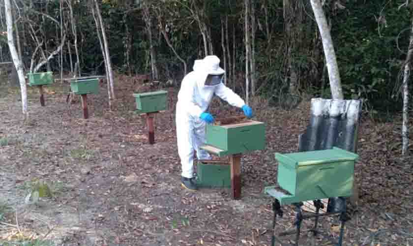 Pilar da economia, agricultor tem reconhecimento da Prefeitura de Porto Velho