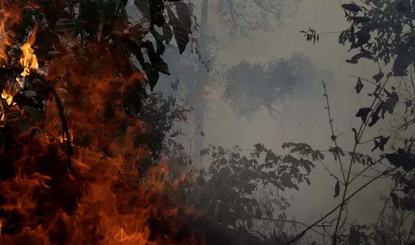 Bolsonaro diz que países da região vão discutir Amazônia