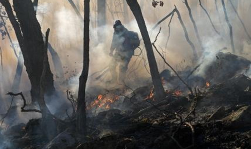 Ministério Público instaura procedimento para acompanhar políticas públicas de combate às queimadas em Porto Velho