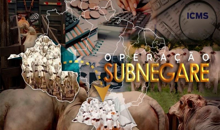 OPERAÇÃO SUBNEGARE – MP amplia investigações para desarticular esquema de sonegação fiscal na comercialização de gado