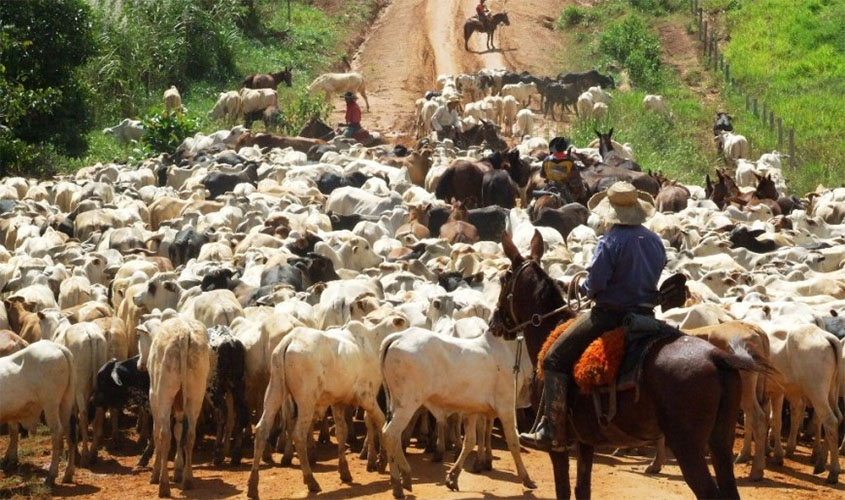 Comitiva de Israel visitará Rondônia para avaliar oportunidades comerciais entre o País e o Estado