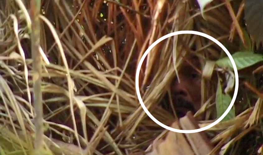 Um símbolo do genocídio indígena: “o último de seu povo” morre no Brasil