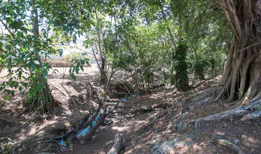 Bairro São João Bosco recebe limpeza inédita em área de preservação