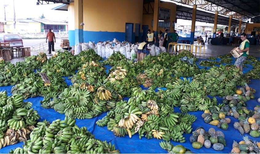 PAA entregou 17 mil toneladas de alimentos neste mês de setembro