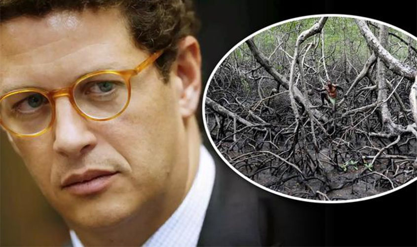 'Passando a boiada': Salles acaba com proteção a reservas ambientais de manguezais e restingas