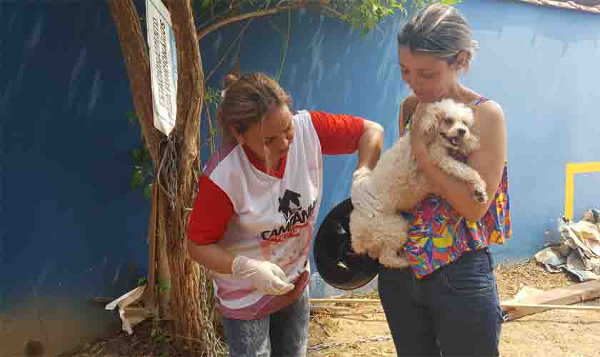 Campanha antirrábica continua neste sábado