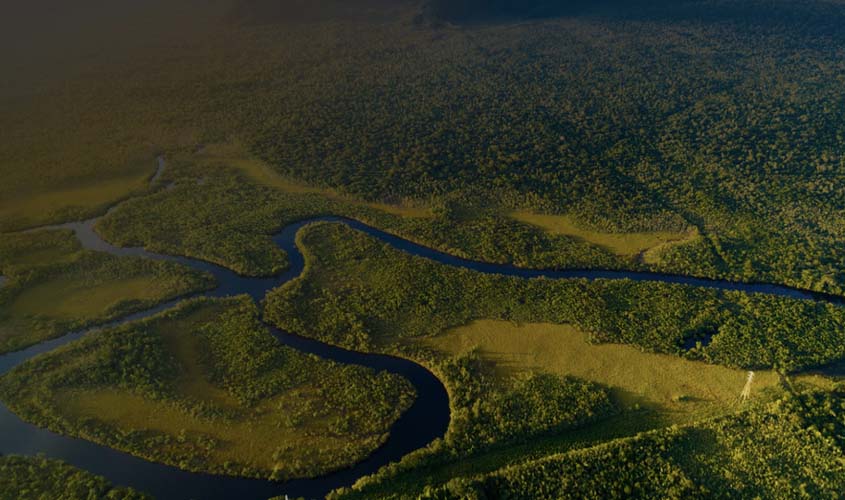 Parceria entre Instituto Amazônia+21 e Energisa reafirma compromisso com a descarbonização