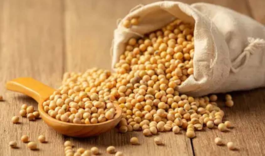 Soja e trigo hoje: confira as cotações para sexta (28)