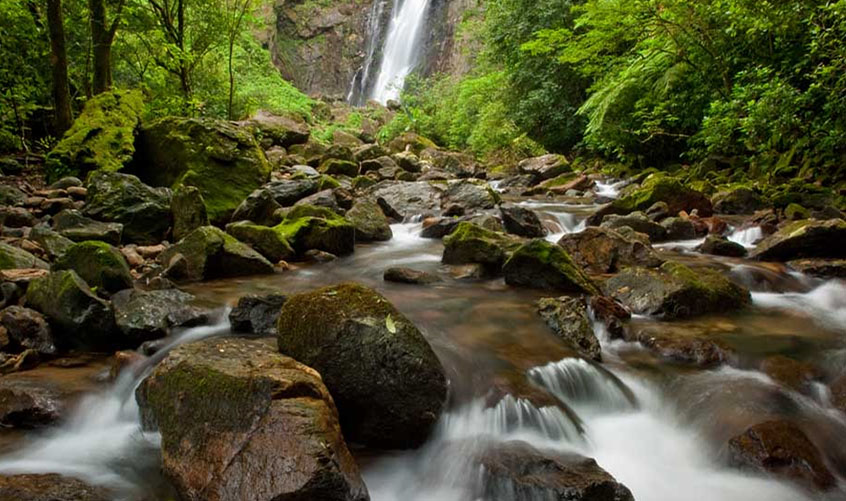 Turismo em áreas naturais é chave para o desenvolvimento econômico e social em regiões preservadas