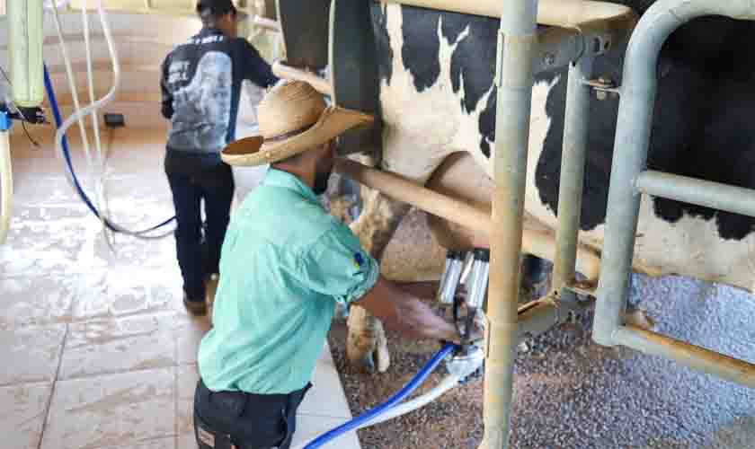Melhoramento genético de rebanho de leite também conta com apoio do Sebrae em Rondônia