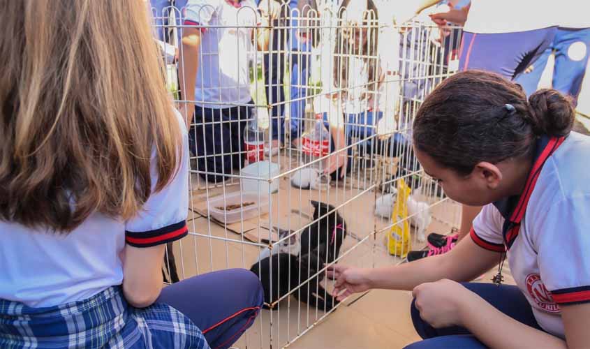Escola Murilo Braga é a única finalista do Norte na Jornada Cidadania nas Escolas