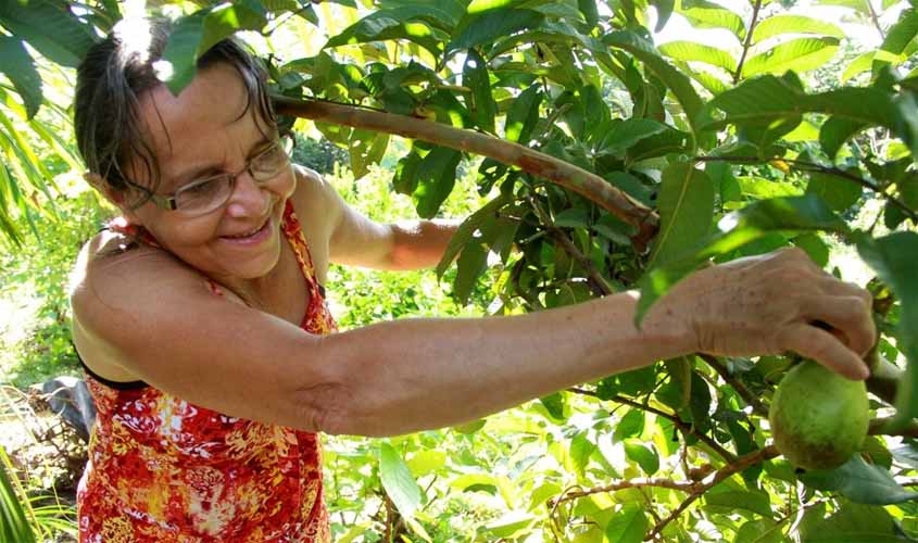 Seagri e parceiros reúnem associações e cooperativas da agricultura familiar na capital