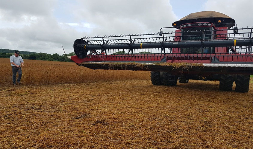 Produtores de Porto Velho iniciam colheita de soja com expectativa acima de 37 mil toneladas