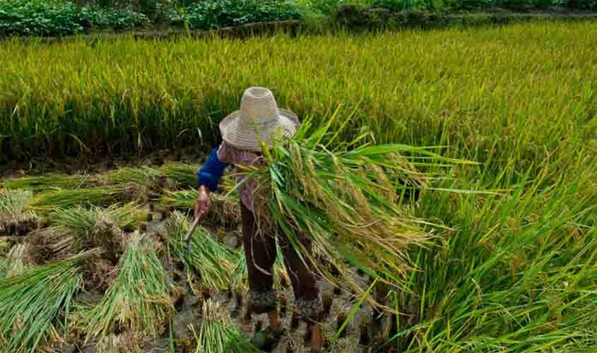 MPT: trabalho escravo é um círculo vicioso que deve ser quebrado
