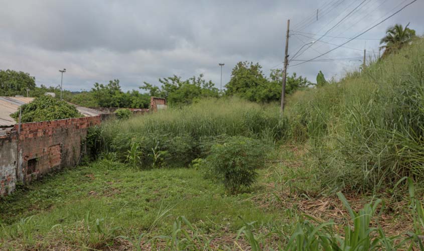Departamento de Postura da Prefeitura segue com fiscalização de terrenos baldios