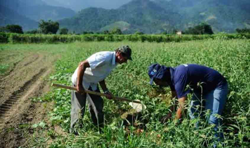 Agro apresenta perda de quase 30 mil vagas de trabalho em novembro