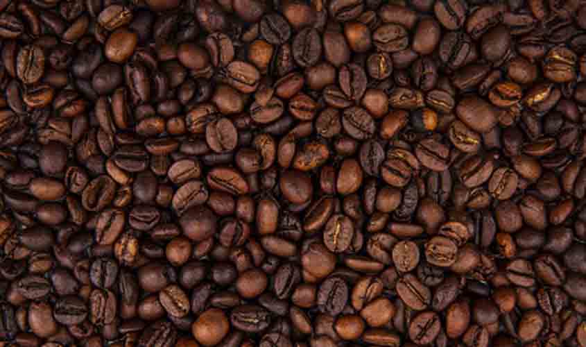 Café e milho apresentam altas nesta quarta-feira (29)