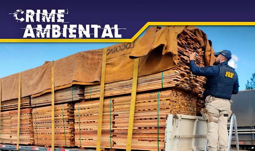 Em Rondônia, PRF identifica transportes irregulares de madeira