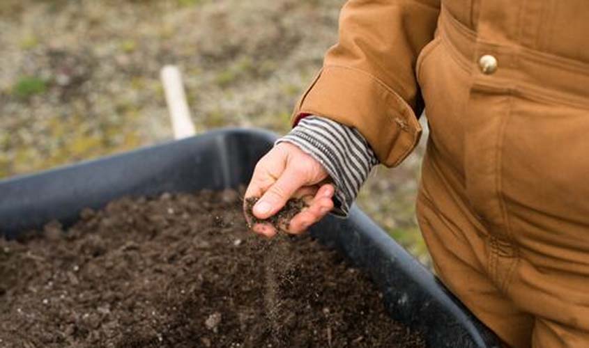 Quais são as melhores terras para investir em produção agrícola?