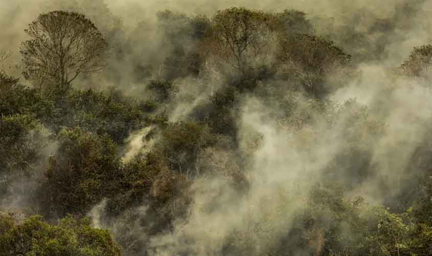 STF determina que União desaproprie terras alvo de incêndio ou desmatamento ilegal