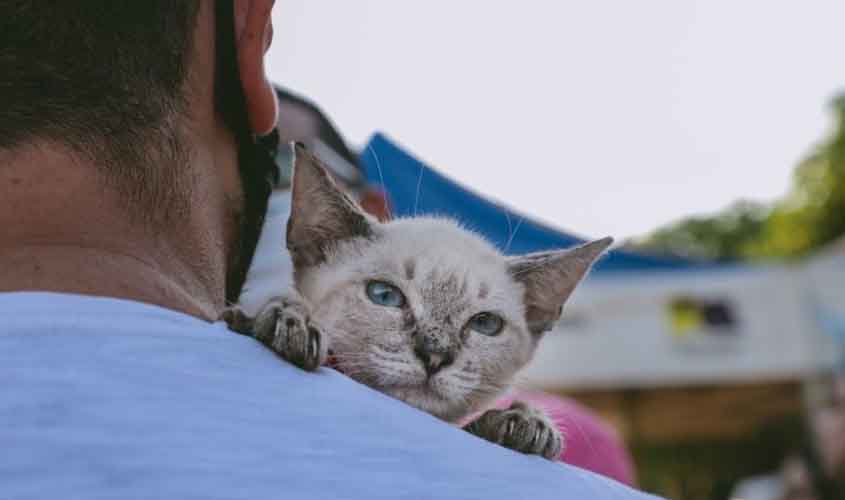 Prefeitura divulga Chamamento Público para selecionar empresa que cuidará do bem-estar animal em Porto Velho
