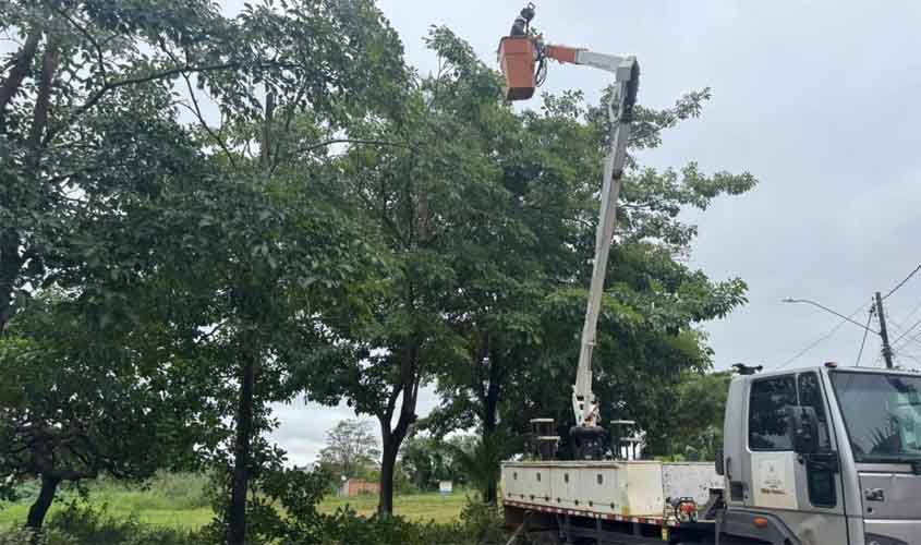 Sema realiza poda preventiva na Rua Hortelã, no bairro Cohab