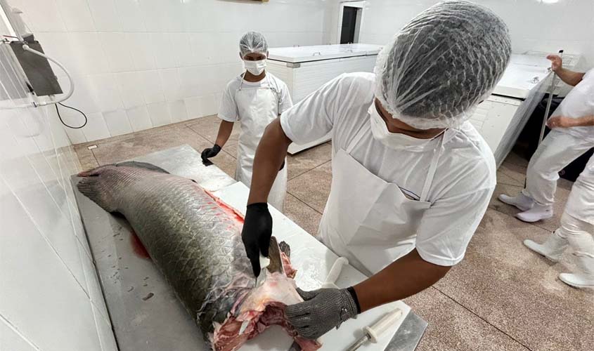 Cadeia do pescado ganha reforço da Prefeitura